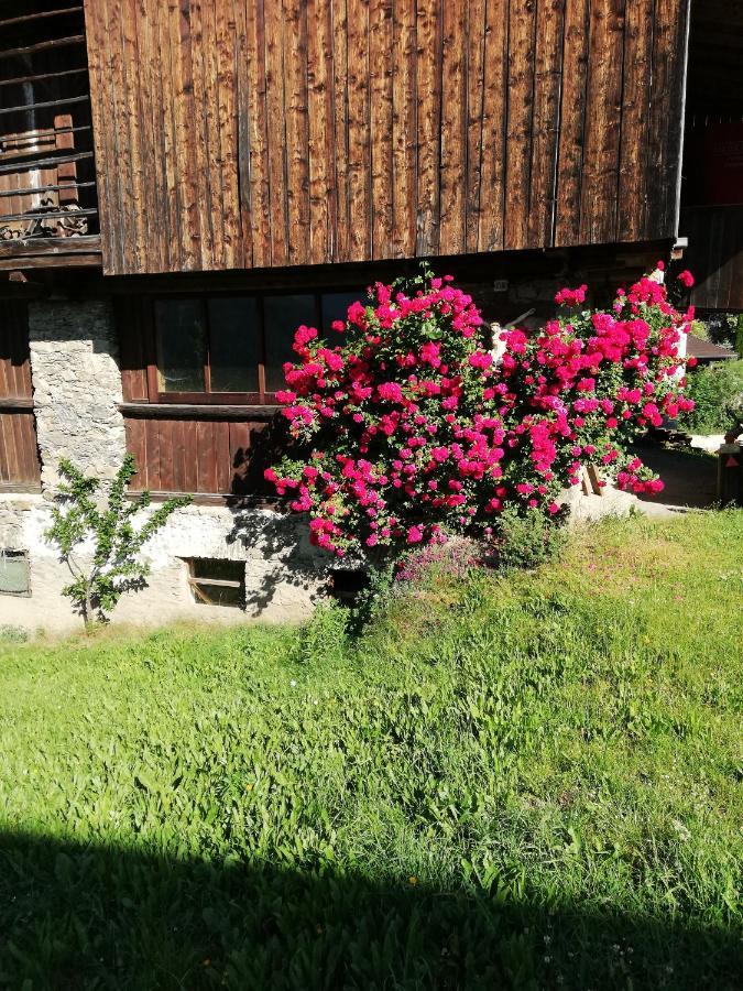 Ledererhof Villa Oberlienz Dış mekan fotoğraf
